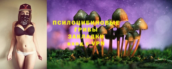 а пвп мука Абдулино