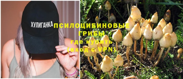 хмурый Абинск