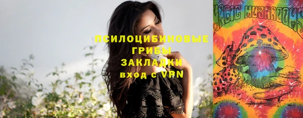 а пвп мука Абдулино