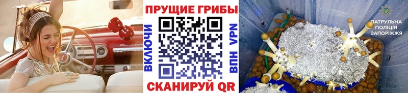 Псилоцибиновые грибы Psilocybe  MEGA ТОР  Троицк  дарнет шоп 