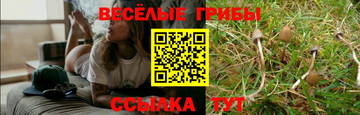 Псилоцибиновые грибы Psilocybine cubensis  Вход с VPN  Псилоцибиновые грибы Psilocybine cubensis  Троицк 