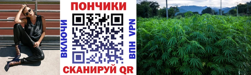 Канабис MAZAR  Троицк 